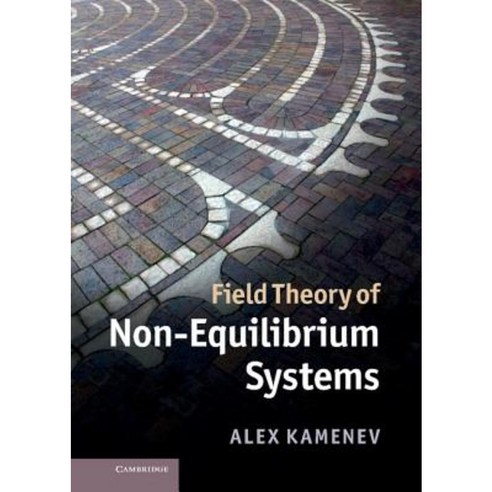 Field Theory of Non-Equilibrium Systems Hardcover, Cambridge University Press