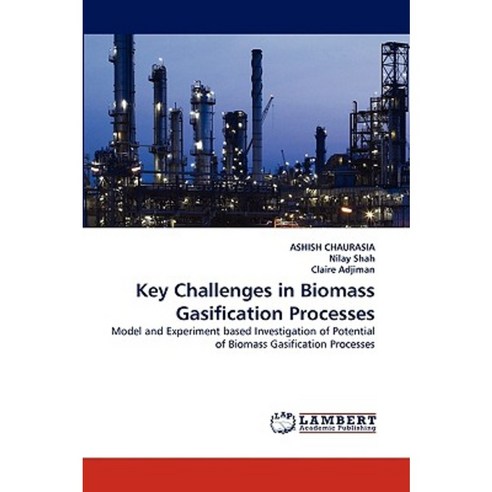 Key Challenges in Biomass Gasification Processes Paperback, LAP Lambert Academic Publishing