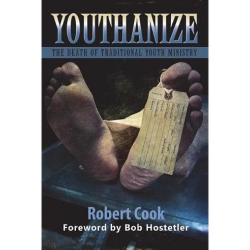 Youthanize: The Death of Traditional Youth Ministry Paperback, Taegais Publishing LLC