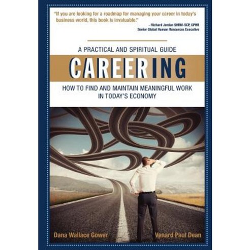 Careering: How to Find and Maintain Meaningful Work in Today''s Economy Paperback, Dg Publishing, Inc.