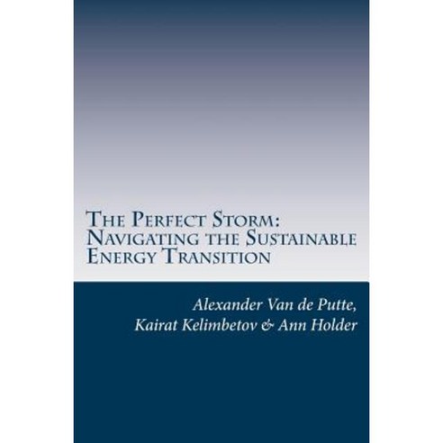 The Perfect Storm: Navigating the Sustainable Energy Transition Paperback, Createspace Independent Publishing Platform