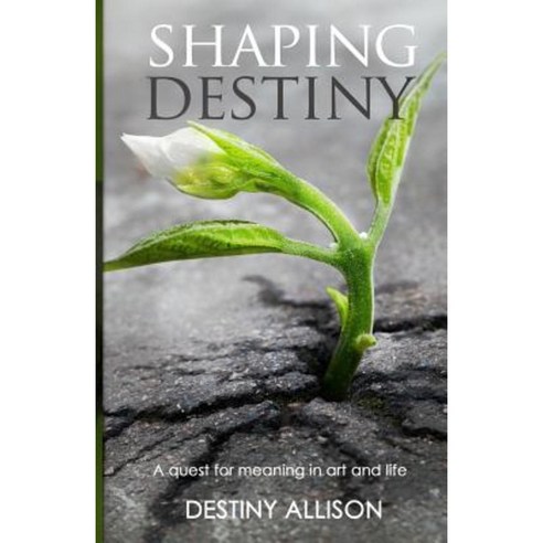 Shaping Destiny: A Quest for Meaning in Art and Life Paperback, Createspace Independent Publishing Platform