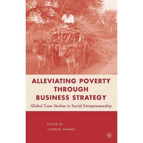 Alleviating Poverty Through Business Strategy: Global Case Studies in Social Entrepreneurship Paperback, Palgrave MacMillan