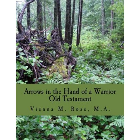 Arrows in the Hand of a Warrior: Old Testament Paperback, Createspace Independent Publishing Platform