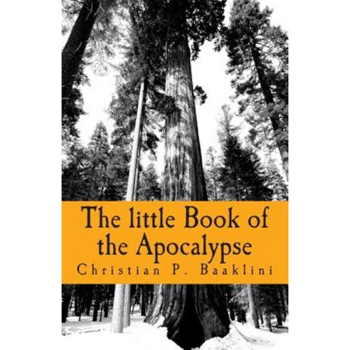 The Little Book of the Apocalypse: The Revelation of Eliyah Paperback, Createspace Independent Publishing Platform