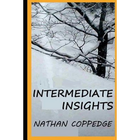 Intermediate Insights: Thoughts Between Epiphanies and the Commonsense Paperback, Createspace Independent Publishing Platform