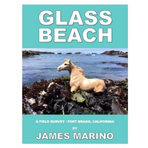 Glass Beach: A Field Survey / Fort Bragg California Paperback, Createspace Independent Publishing Platform