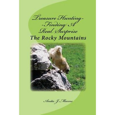 Treasure Hunting--Finding a Real Surprise: The Rocky Mountains Paperback, Createspace Independent Publishing Platform