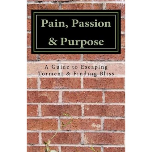 Pain Passion & Purpose: A Guide to Escaping Torment & Finding Bliss Paperback, Createspace Independent Publishing Platform