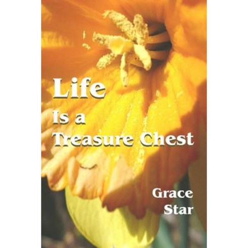 Life Is a Treasure Chest Paperback, Createspace Independent Publishing Platform