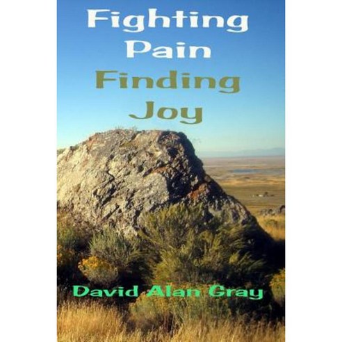 Fighting Pain Finding Joy: What 130+ Children and Chronic Pain Have Taught Me Paperback, Createspace Independent Publishing Platform