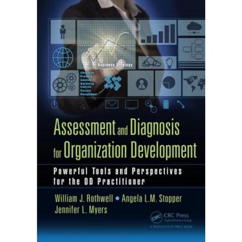 Assessment and Diagnosis for Organization Development: Powerful Tools and Perspectives for the OD Practitioner Paperback, Productivity Press