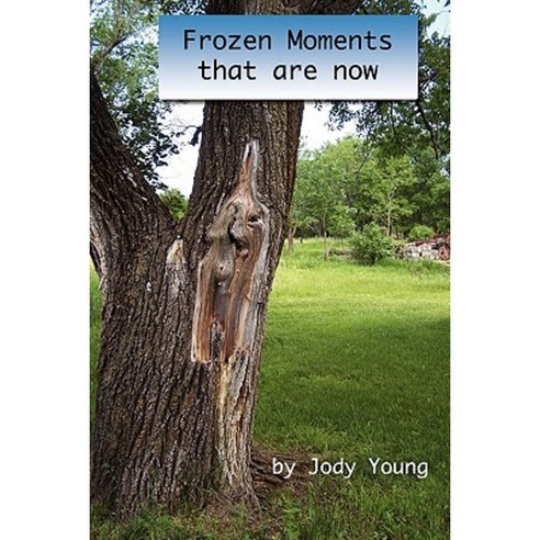 Frozen Moments That Are Now Paperback, Createspace Independent Publishing Platform