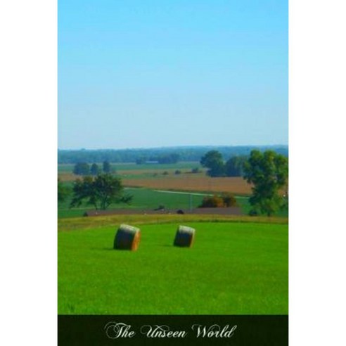 The Unseen World: An Exposition of Catholic Theology in Its Relation to Modern Spiritism Paperback, Createspace Independent Publishing Platform