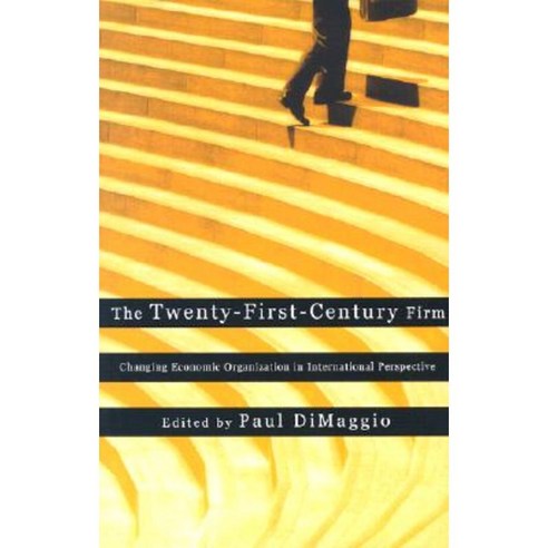 The Twenty-First-Century Firm: Changing Economic Organization in International Perspective Paperback, Princeton University Press