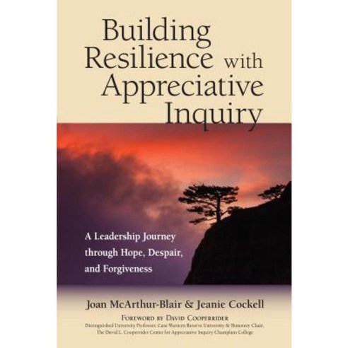 Building Resilience with Appreciative Inquiry: A Leadership Journey Through Hope Despair and Forgiveness Paperback, Berrett-Koehler Publishers