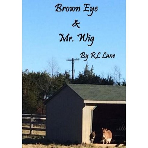 Brown Eye & Mr. Wig Paperback, Createspace Independent Publishing Platform