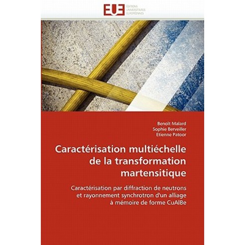 Caracterisation Multiechelle de La Transformation Martensitique Paperback, Univ Europeenne