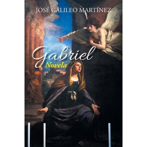 Gabriel: Novela Paperback, Palibrio