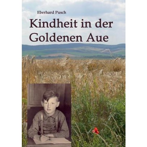 Kindheit in Der Goldenen Aue Paperback, Tredition Gmbh