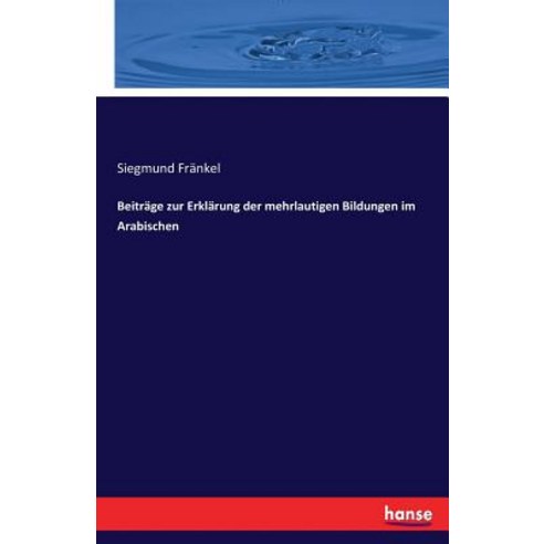 Beitrage Zur Erklarung Der Mehrlautigen Bildungen Im Arabischen Paperback, Hansebooks