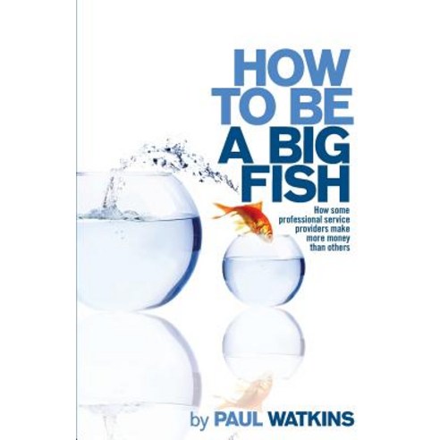 How to Be a Big Fish: How Some Professional Service Providers Make More Money Than Others Paperback, Createspace