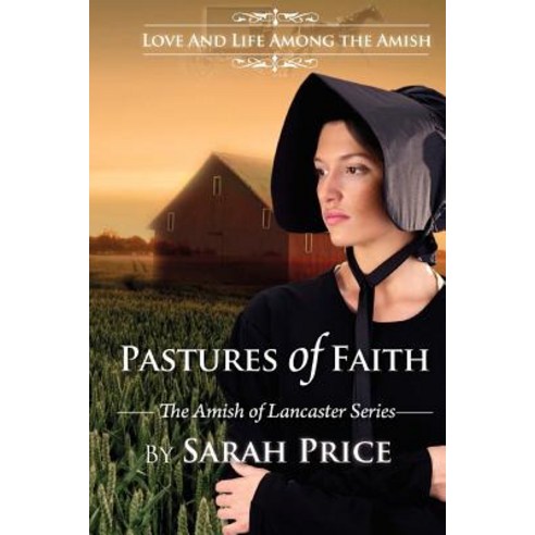 Pastures of Faith: The Amish of Lancaster Paperback, Createspace
