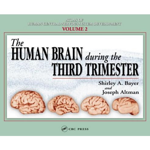 The Human Brain During the Third Trimester Hardcover, CRC Press