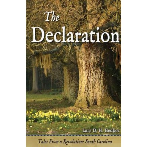 The Declaration: Tales from a Revolution - South-Carolina Paperback, Brief Candle Press
