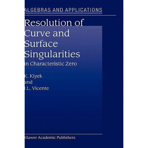 Resolution of Curve and Surface Singularities: In Characteristic Zero Hardcover, Kluwer Academic Publishers
