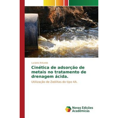 Cinetica de Adsorcao de Metais No Tratamento de Drenagem Acida Paperback, Novas Edicoes Academicas