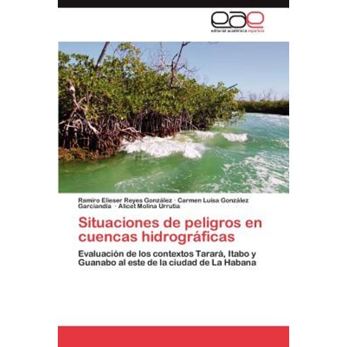Situaciones de Peligros En Cuencas Hidrograficas Paperback, Eae Editorial Academia Espanola