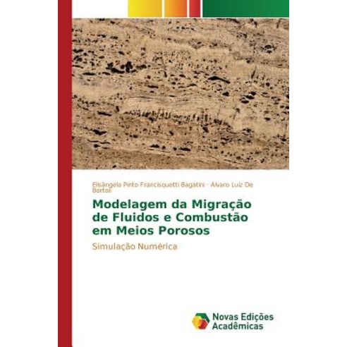 Modelagem Da Migracao de Fluidos E Combustao Em Meios Porosos Paperback, Novas Edicoes Academicas