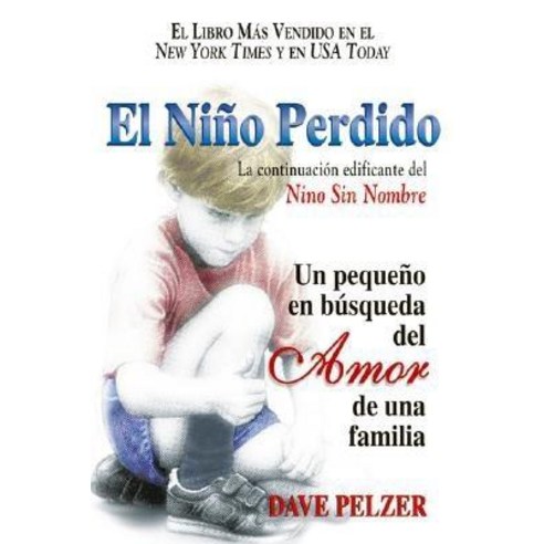El Nino Perdido: Un Pequeno En Busqueda del Amor de Una Familia Paperback, HCI Espanol