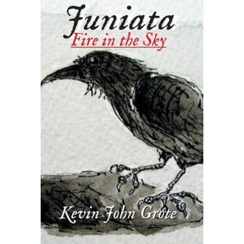 Juniata: Fire in the Sky Paperback, Createspace Independent Publishing Platform