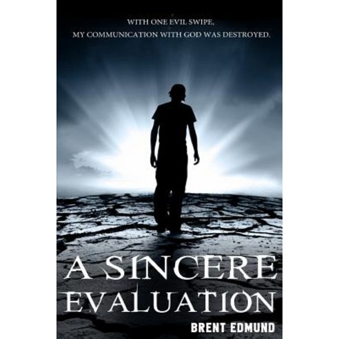 A Sincere Evaluation: In Search of Jesus Paperback, Sincere Evaluation