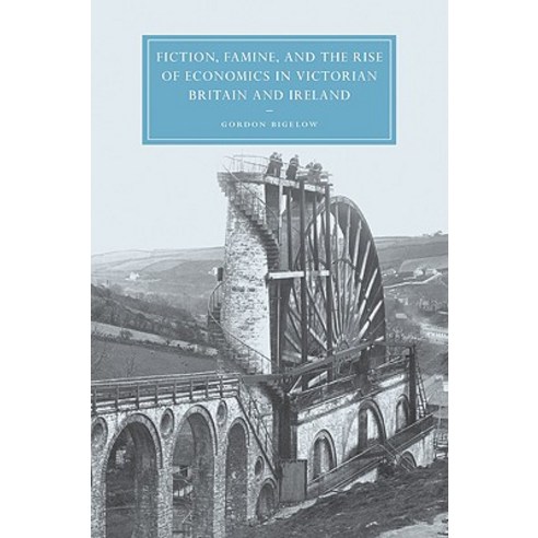 "Fiction Famine and the Rise of Economics in Victorian Britain and Ireland", Cambridge University Press