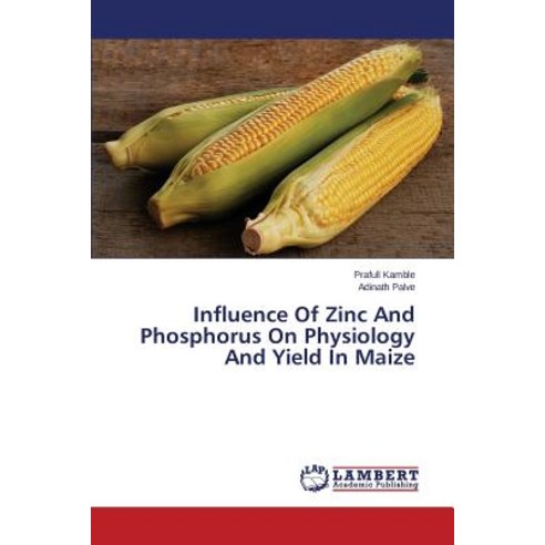 Influence of Zinc and Phosphorus on Physiology and Yield in Maize Paperback, LAP Lambert Academic Publishing