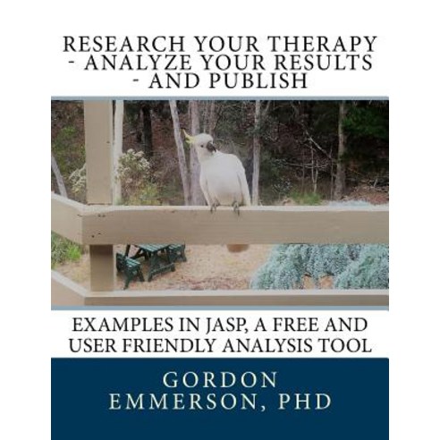 Research Your Therapy - Analyze Your Results - And Publish: Examples in Jasp a Free and User Friendly Analysis Tool Paperback, Old Golden Point Press