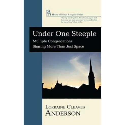 Under One Steeple: Multiple Congregations Sharing More Than Just Space Paperback, Wipf & Stock Publishers