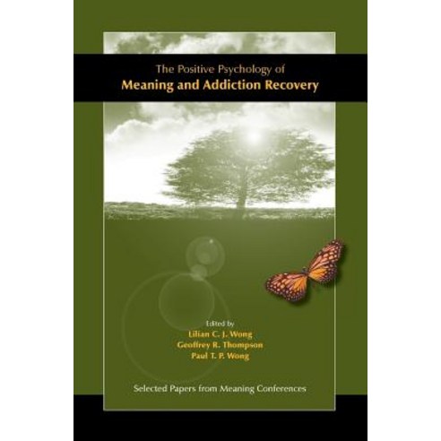 The Positive Psychology of Meaning and Addiction Recovery Paperback, Purpose Research
