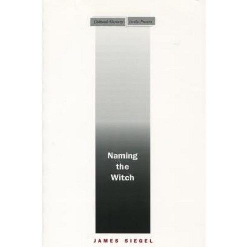 Naming the Witch Paperback, Stanford University Press