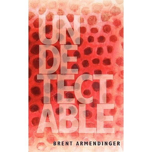 Undetectable Paperback, New Michigan Press