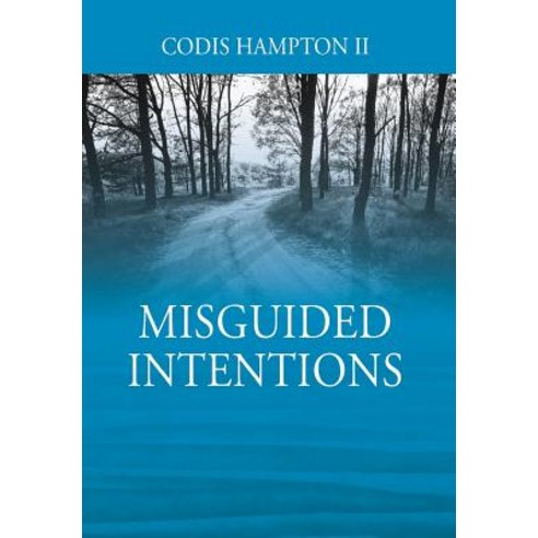 Misguided Intentions Hardcover, Outskirts Press