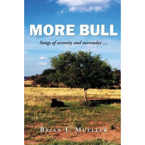 More Bull: Songs of Serenity and Surrender... Paperback, Digital Alphabet