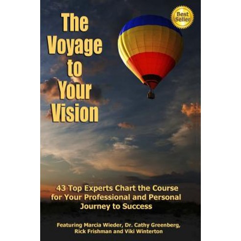 The Voyage to Your Vision: Top Experts Chart the Course for Your Professional and Personal Journey to Success Paperback, Expert Insights Publishing