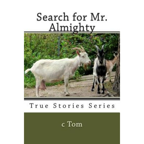 Search for Mr. Almighty Paperback, Createspace