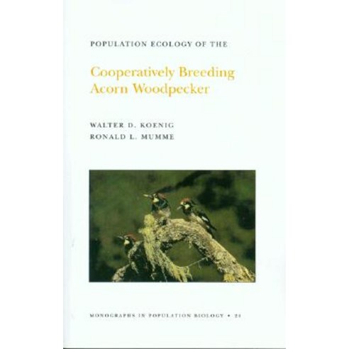 Population Ecology of the Cooperatively Breeding Acorn Woodpecker. (Mpb-24) Volume 24 Paperback, Princeton University Press