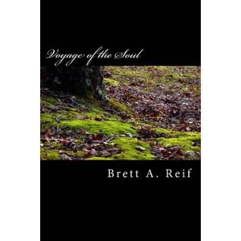 Voyage of the Soul Paperback, Createspace