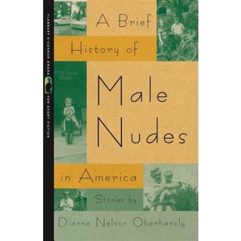 A Brief History of Male Nudes in America Paperback, University of